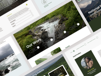 PNTS website pages