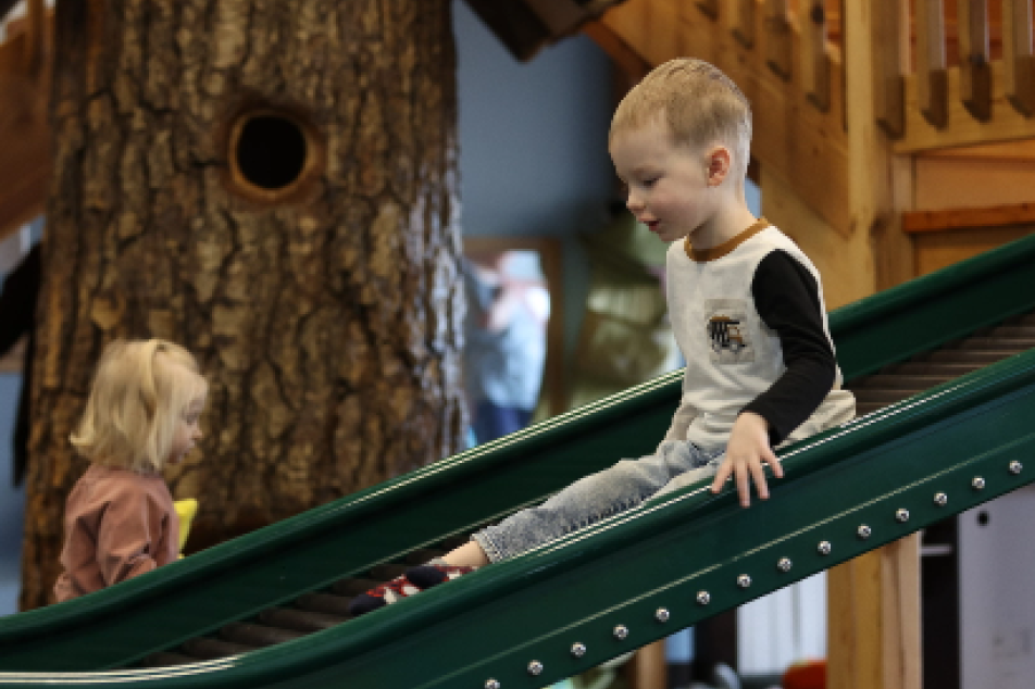 TreeHouse Photography