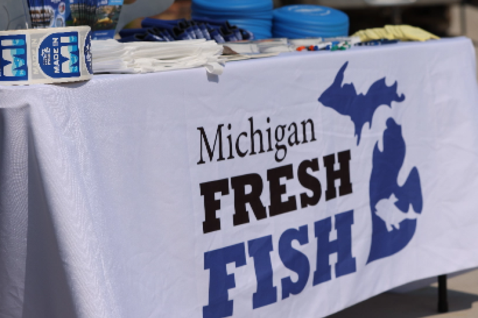 MiFish swag photography