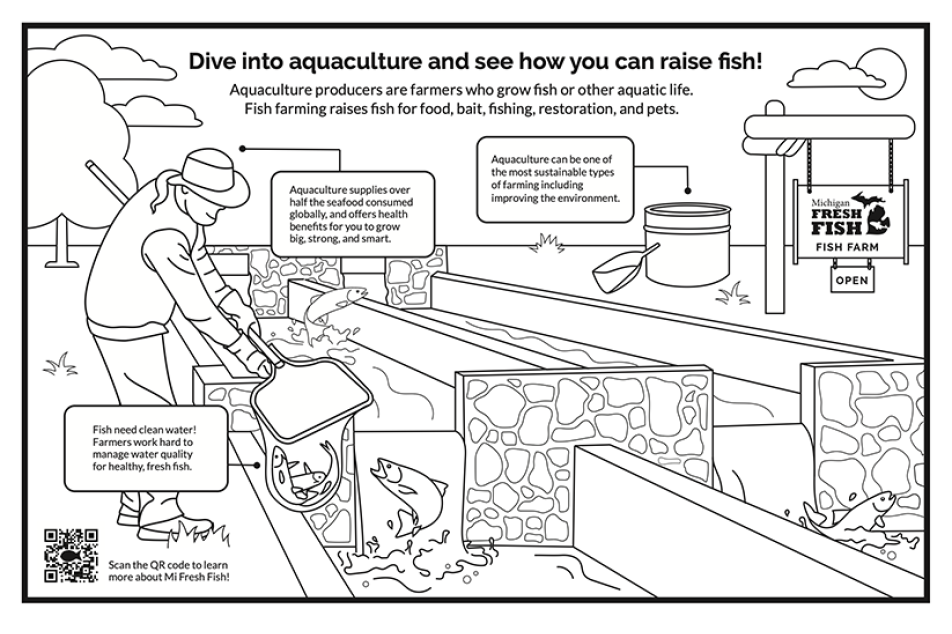 MiFish custom placemat design