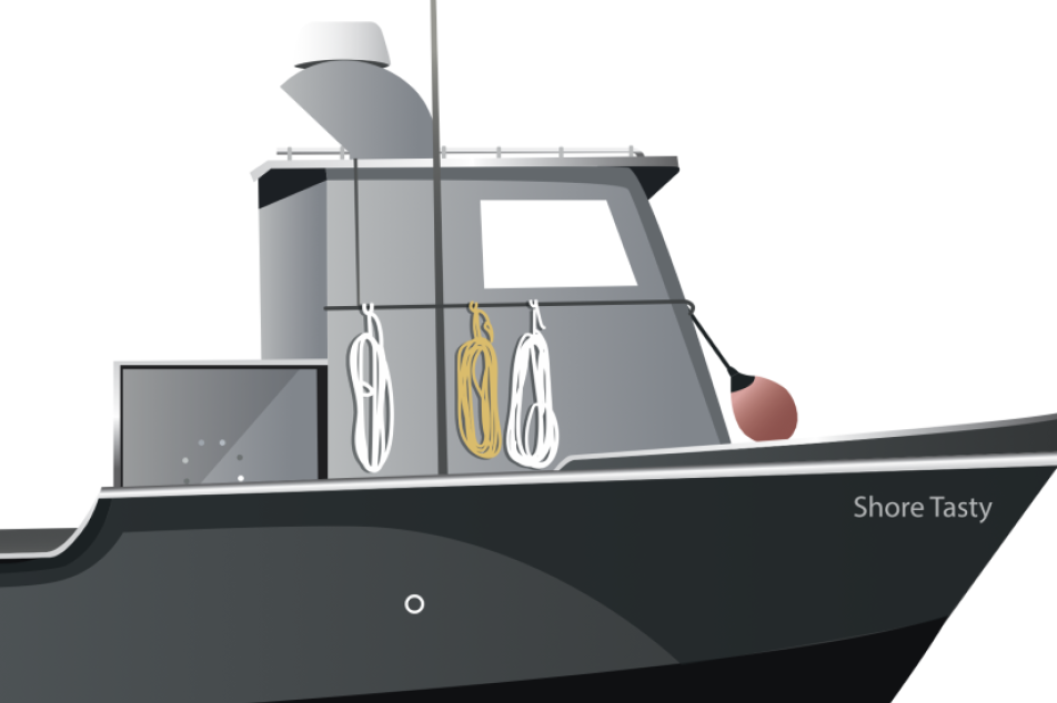 MiFish custom illustration
