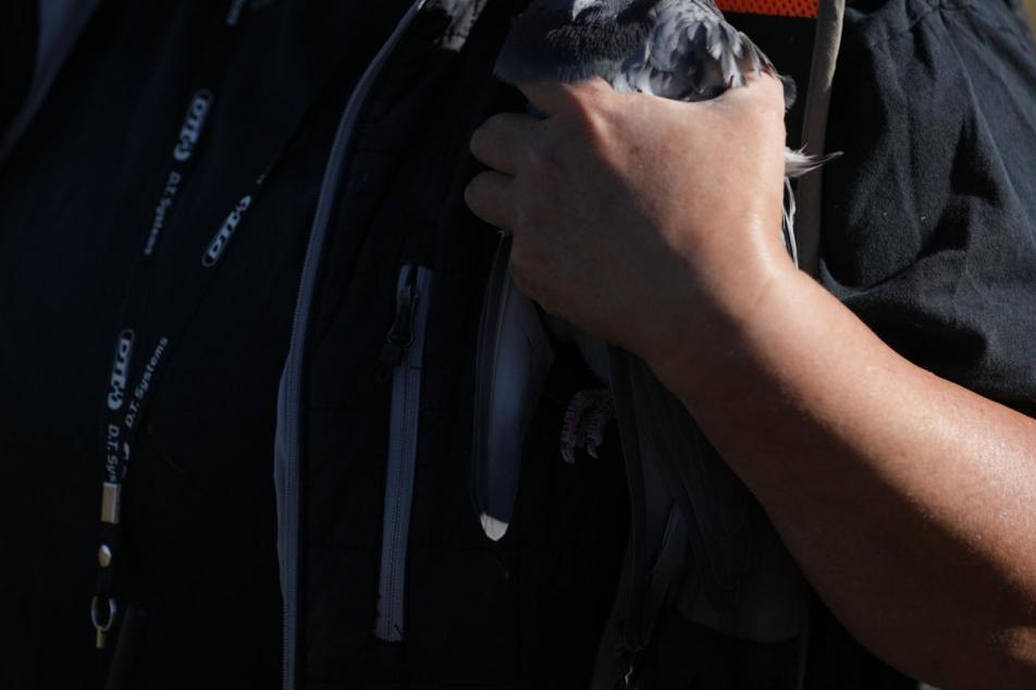kelly holding bird for bird dog training