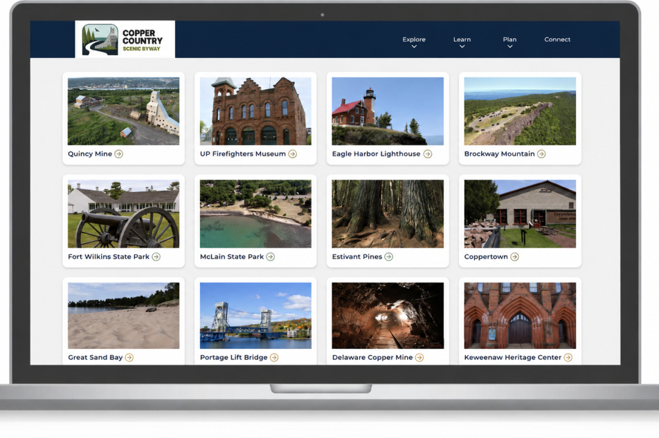 CCT custom web map