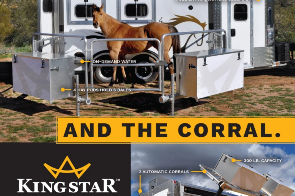 Kingstar Full Page Ad Design