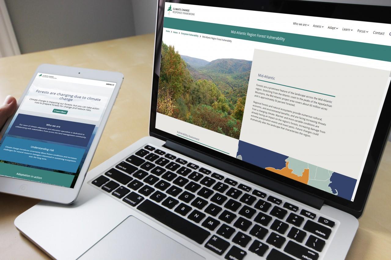 NIACS responsive website