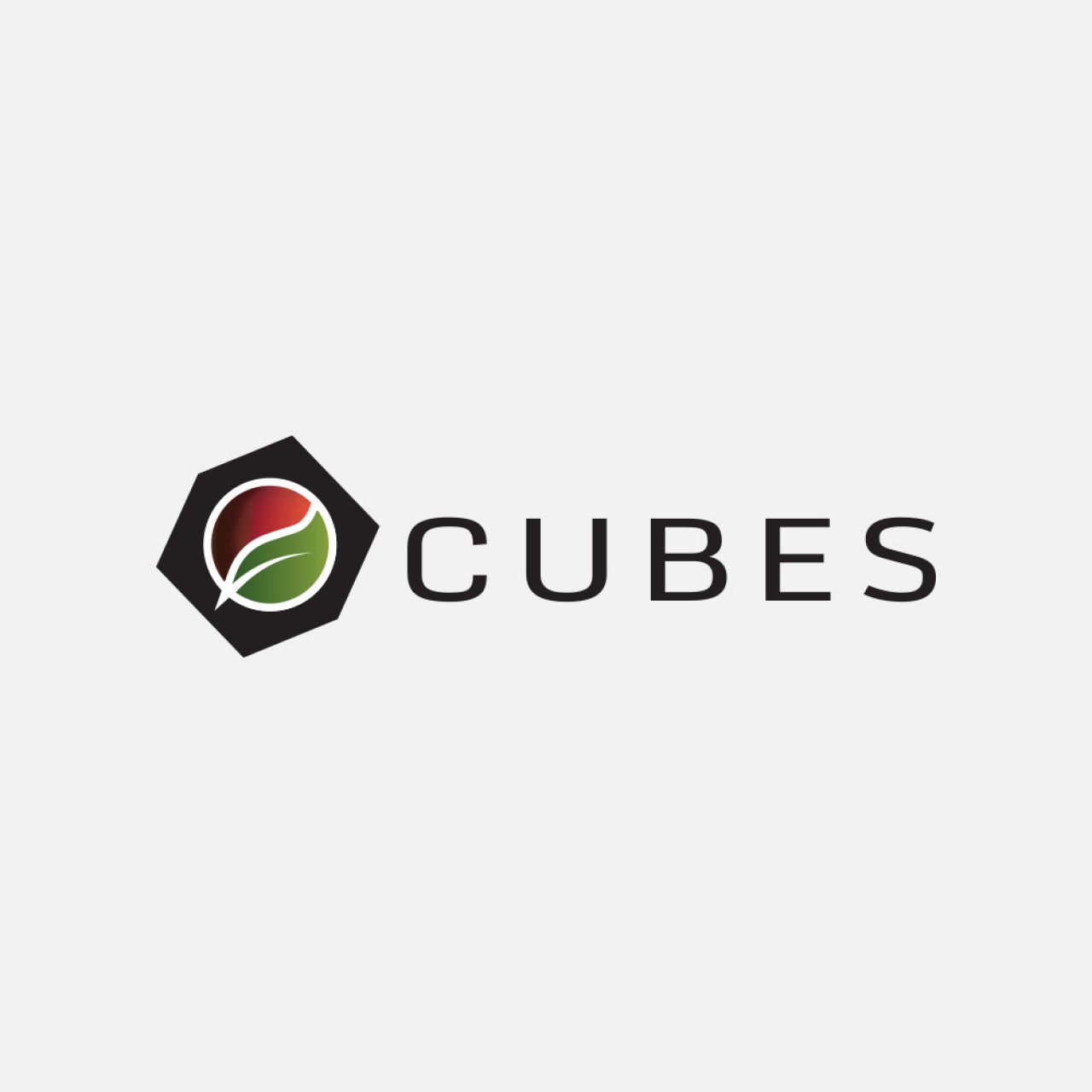 Cubes logo