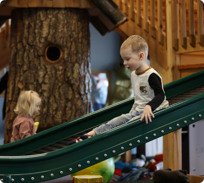 TreeHouse Photography