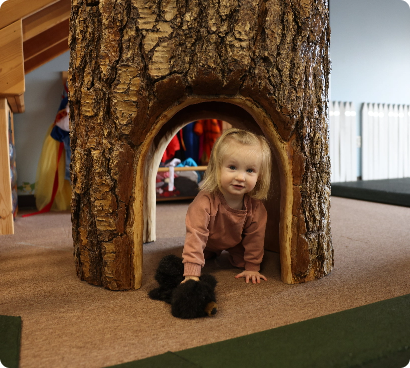 TreeHouse Photography