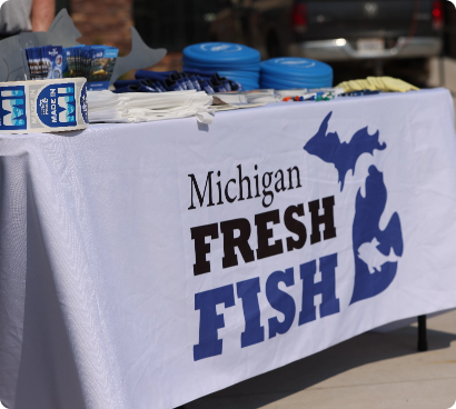MiFish swag photography