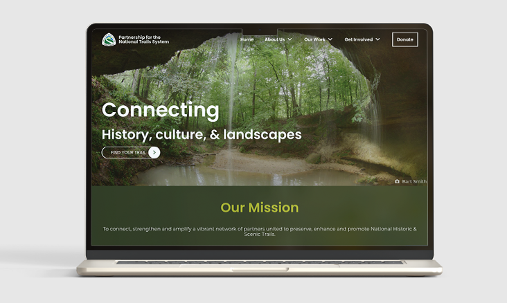 pnts website design after