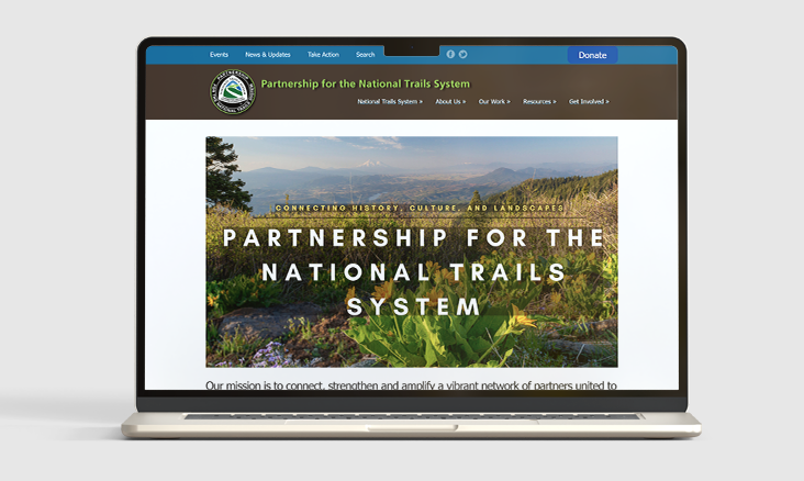 pnts website design before