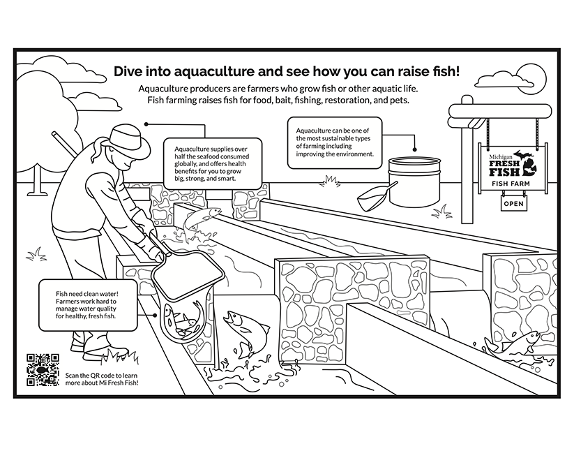 MiFish custom placemat design