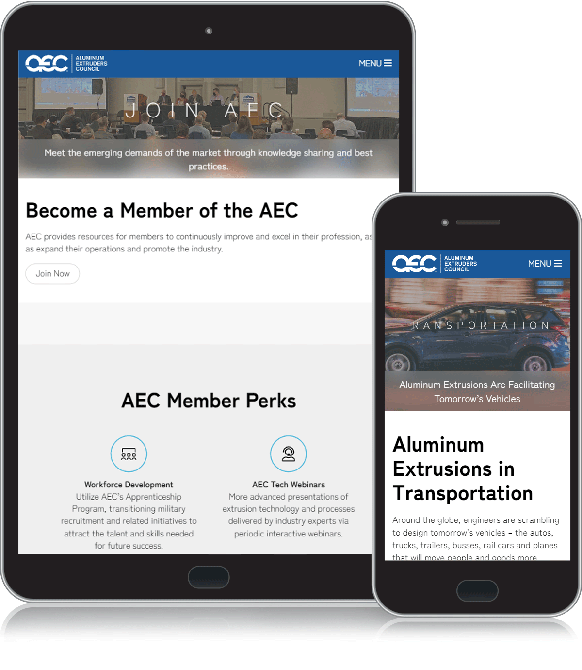 AEC custom website