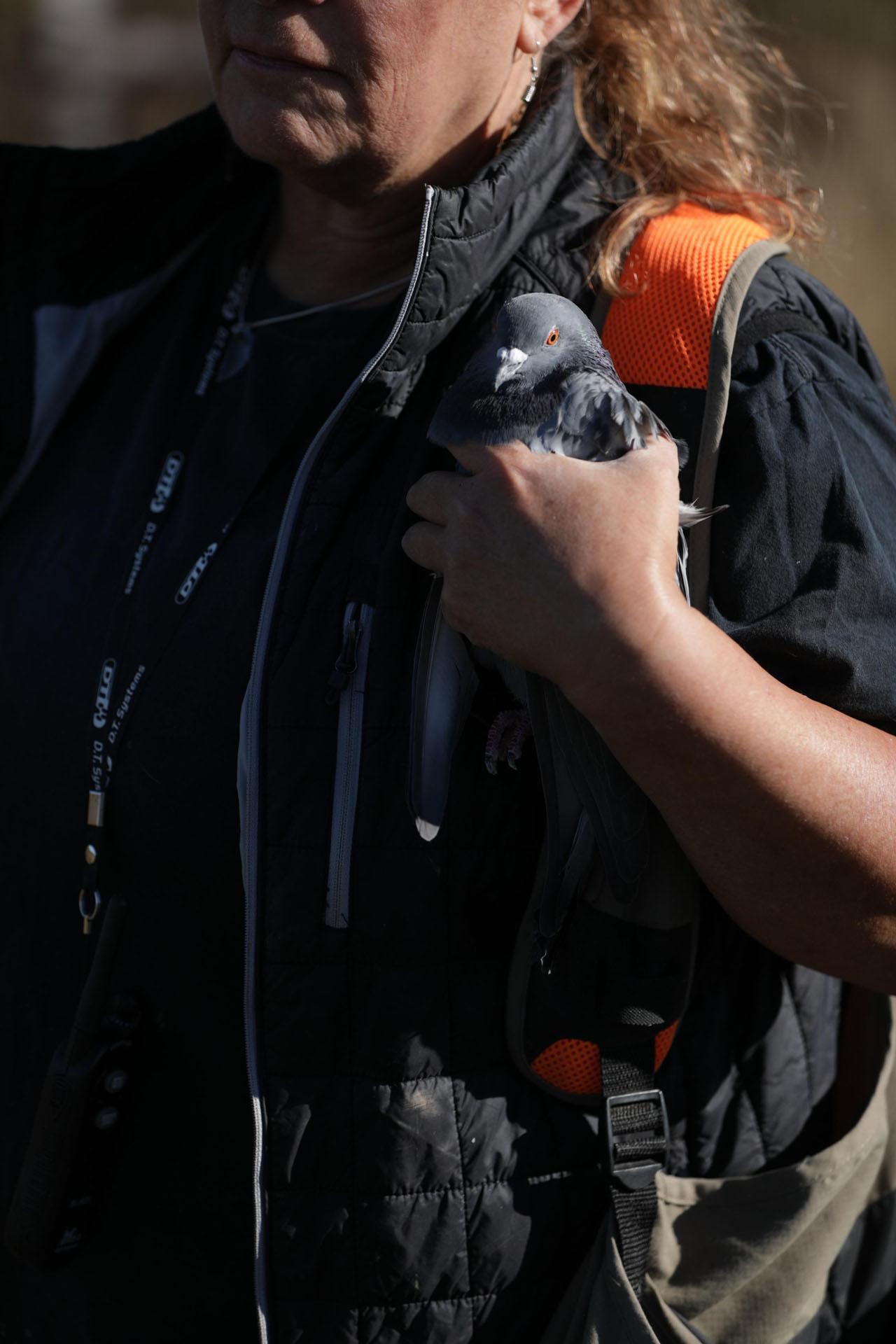 kelly holding bird for bird dog training