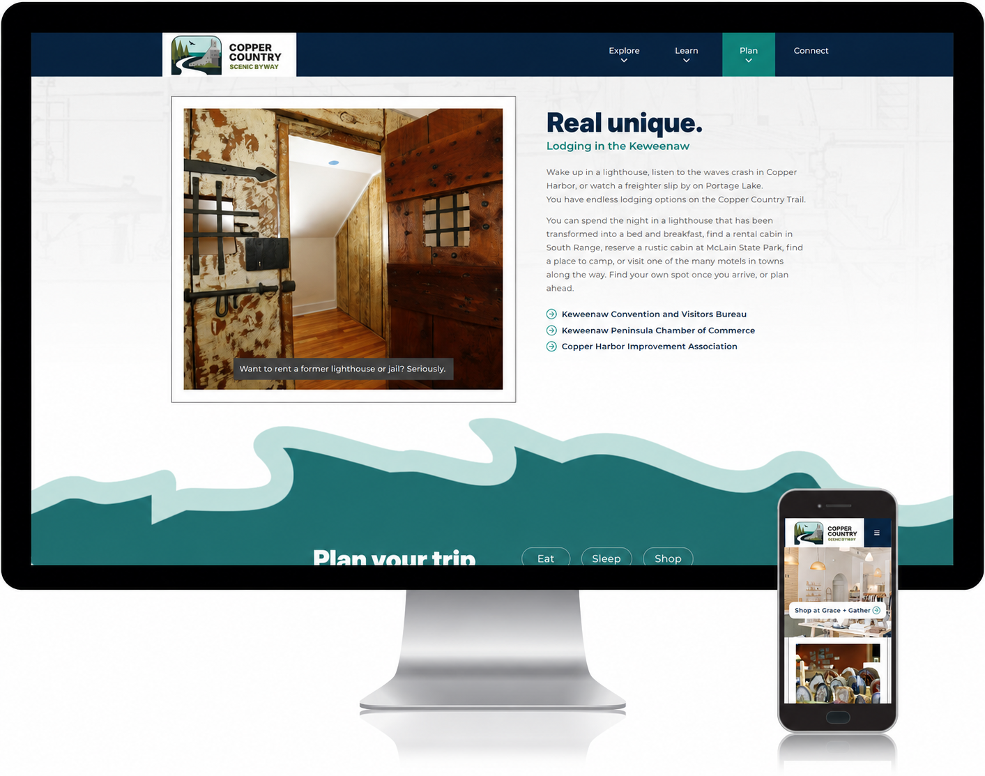 CCT custom website