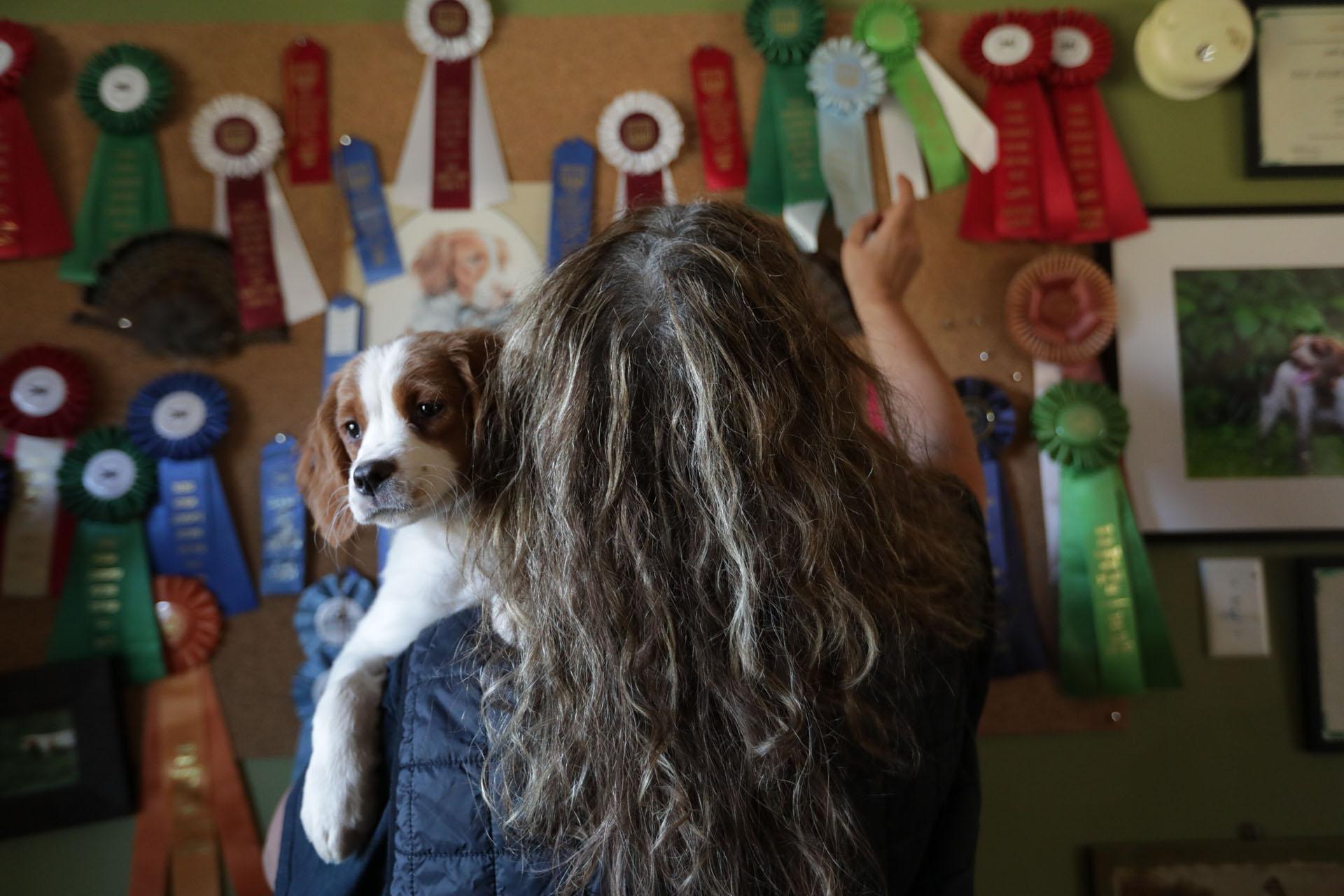 kelly holding dog looking at award wall