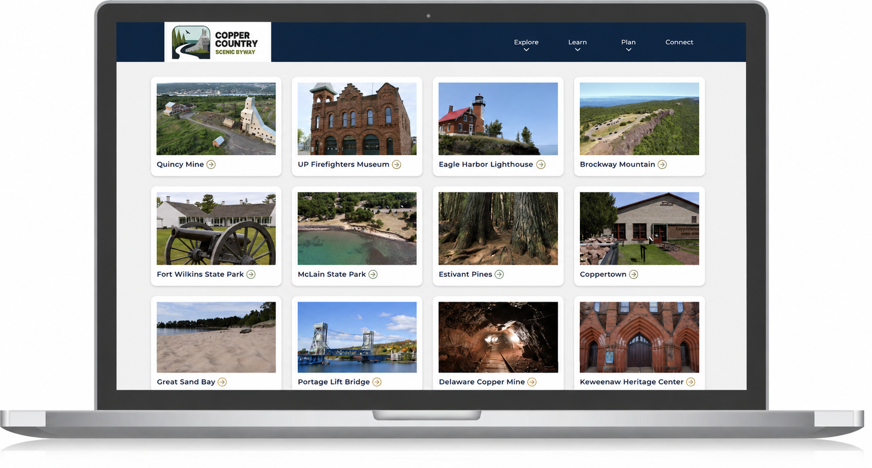 CCT custom web map