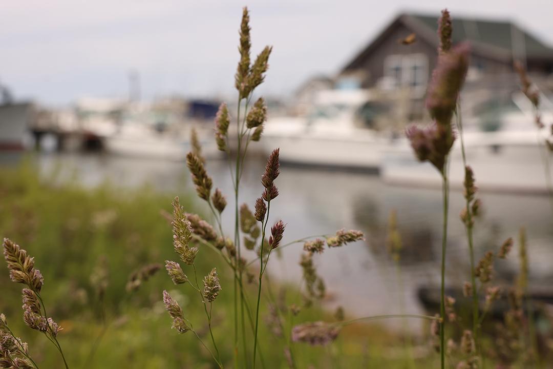 Fishtown Gallery Photo