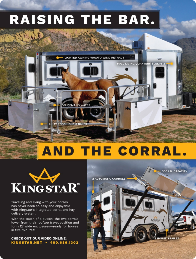 Kingstar Full Page Ad Design