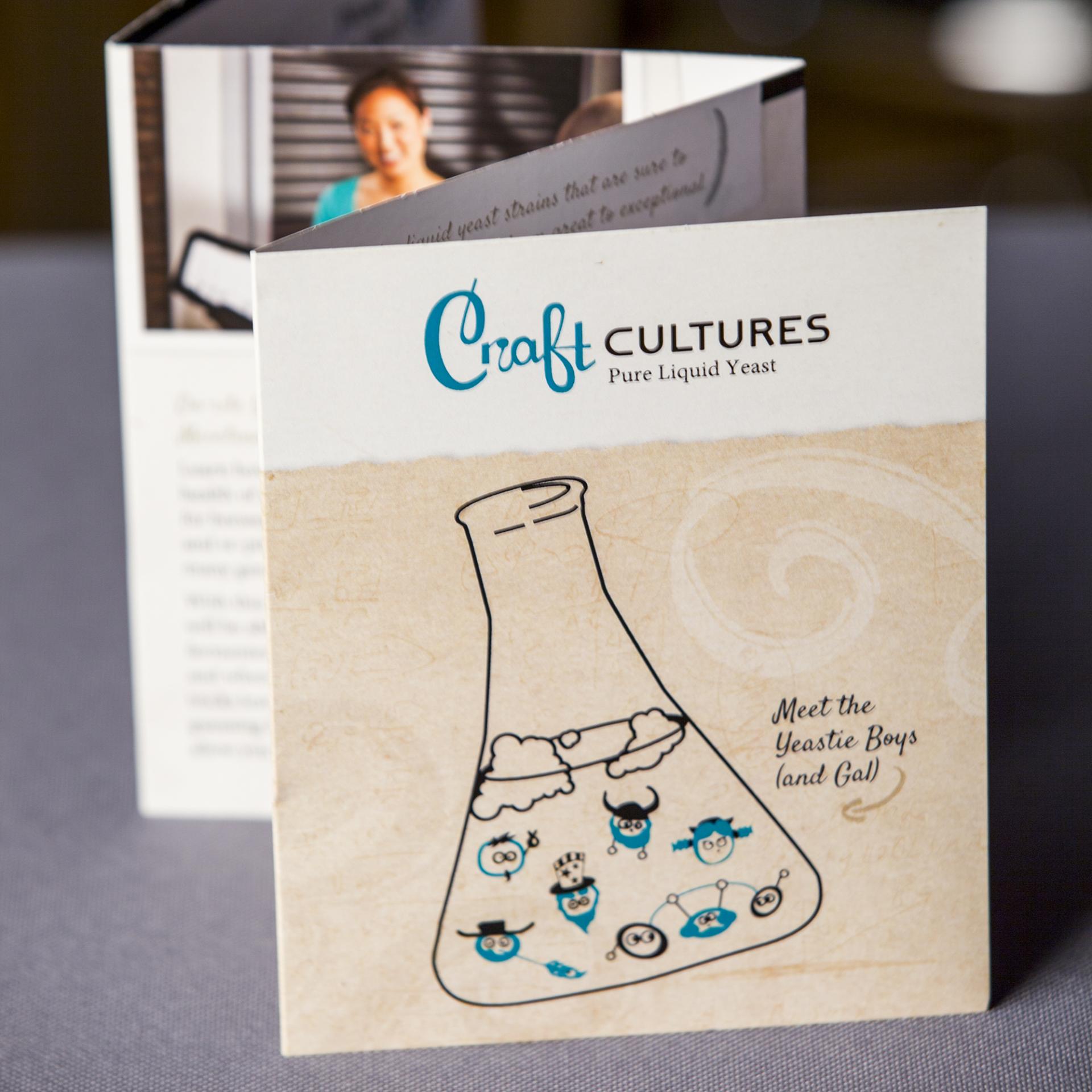 craft cultures brochure design